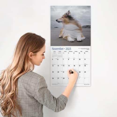 כלב אמבר אדום נעלם ווינדי 2023 לוח השנה החודשי הנתיב | 12 x 24 פתוח | נייר עבה ויציב | מתנה | בדיחה מצחיקה גורים